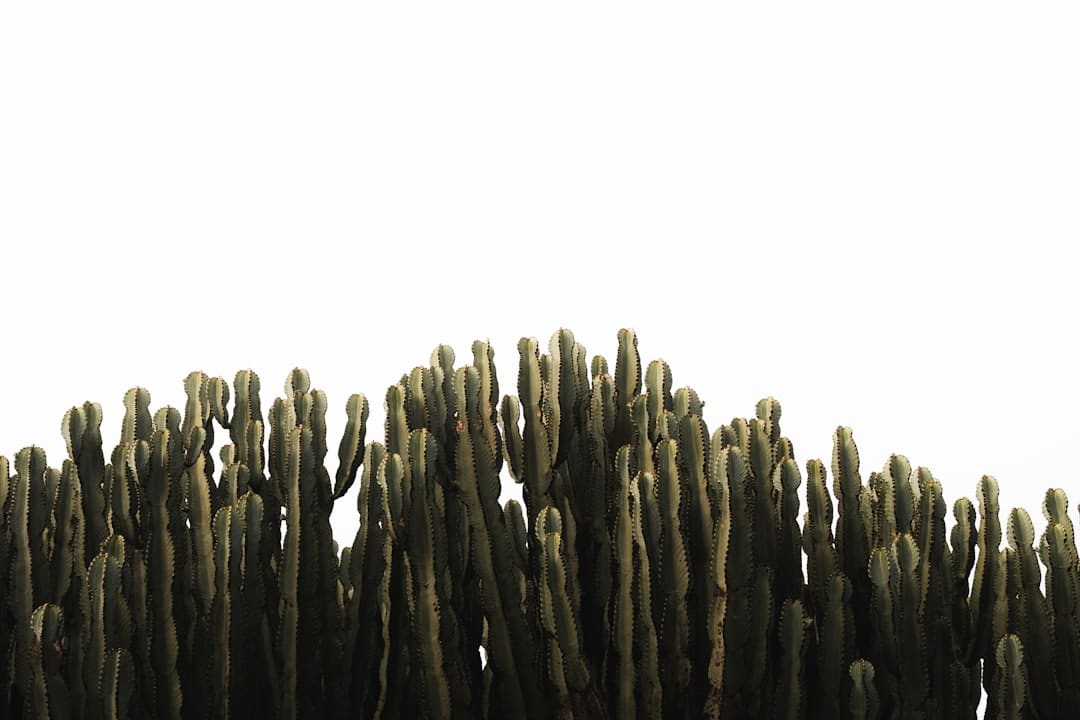 图知道|新学期,这些新变化护航孩子生长